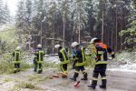 ff-luetzelburg_einsatz20170426-002